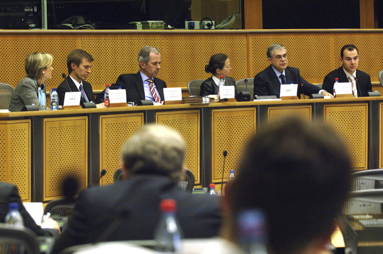 Zdjęcie 3: ECON committee meeting with the Vice-President of the European Central Bank ECB.