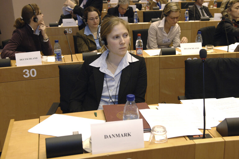 Fotografija 6: Interparliamentary meeting on the Future of Europe - EP meeting with National Parliaments