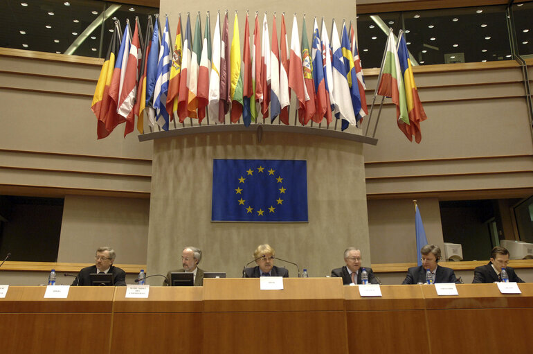 Fotografia 7: AFET Committee meeting with the main Opposition Leader of Belarus.