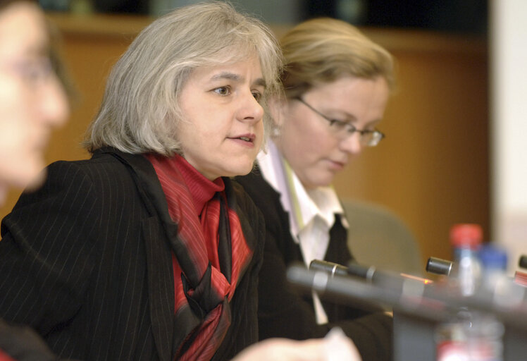 Billede 2: Elisabeth SCHROEDTER in a meeting at the EP in Brussels.