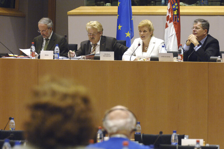 AFET Committee - Discussion with Minister of Foreign Affairs and European Integration of the Republic of Croatia