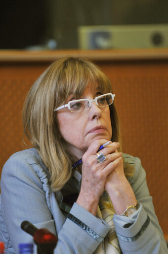 Fotografie 2: MEP Carmen FRAGA ESTEVEZ in a meeting at the EP in Brussels