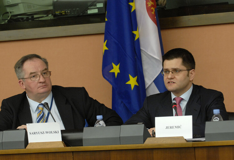 Fotogrāfija 5: AFET committee meeting on the Consequences of Kosovo's declaration of independence with the Minister of Foreign Affairs of the Republic of Serbia.