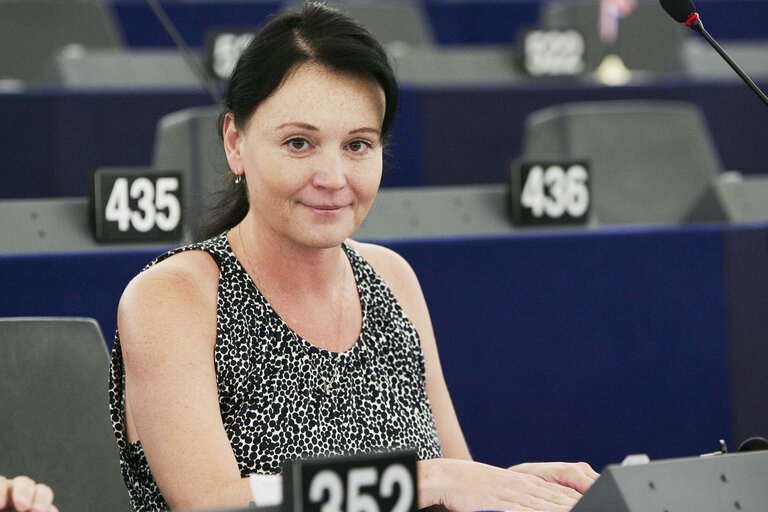 Plenary session week 21 2012 - Principle of equal pay for male and female workers for equal work or work of equal value