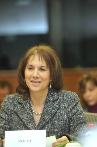 Photo 2: Martine ROURE MEP in a meeting at the EP in Brussels.