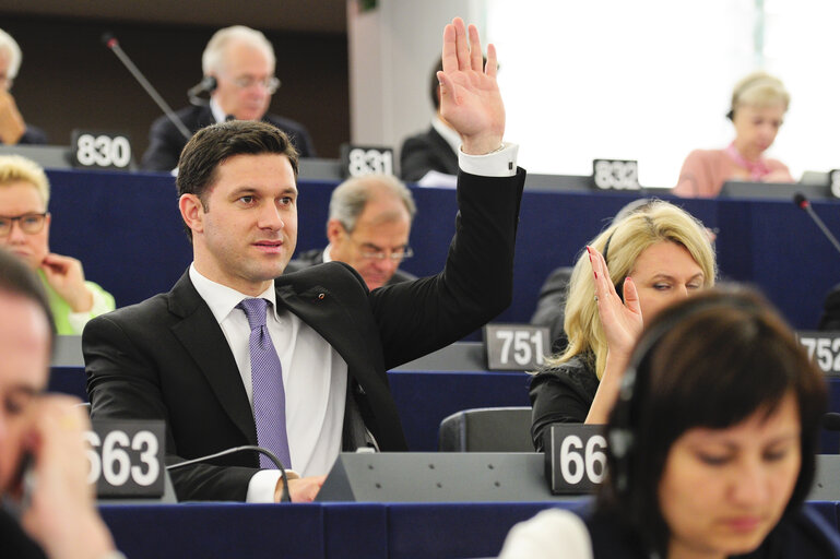 Plenary Session in Strasbourg - Week 21 - 2012