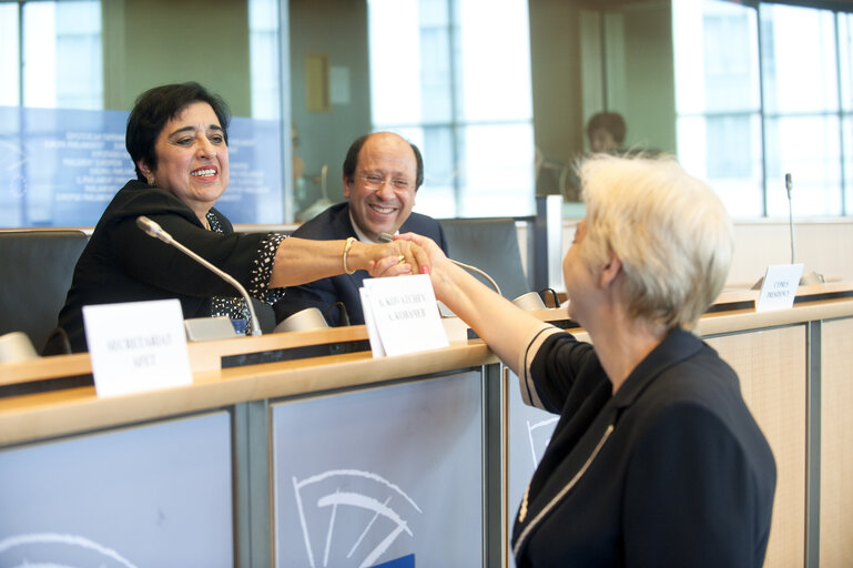 Fotografia 14: AFET committee meeting.  Exchange of views with the minister of foreign affairs of Cyprus, on the Cyprus presidency priorities on enlargement.