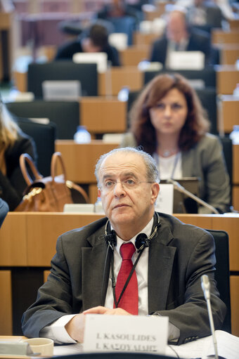 Fotografia 7: AFET committee meeting.  Exchange of views with the minister of foreign affairs of Cyprus, on the Cyprus presidency priorities on enlargement.