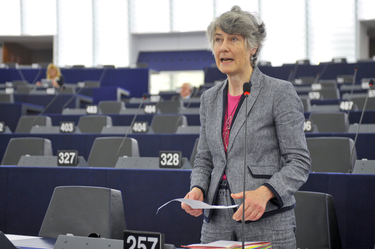 Plenary Session in Strasbourg - Week 21 - 2012