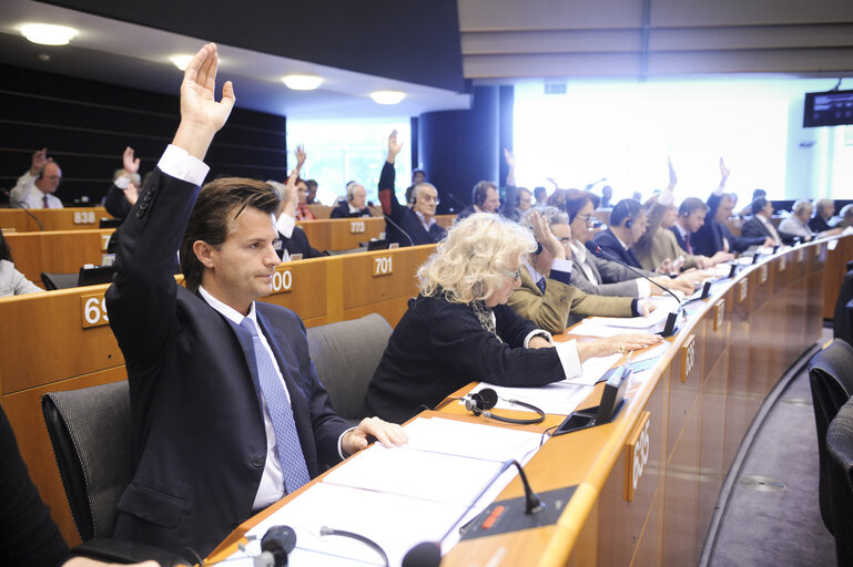 Fotografija 5: Vote during Plenary Session in Brussels - Week 19 - 2012