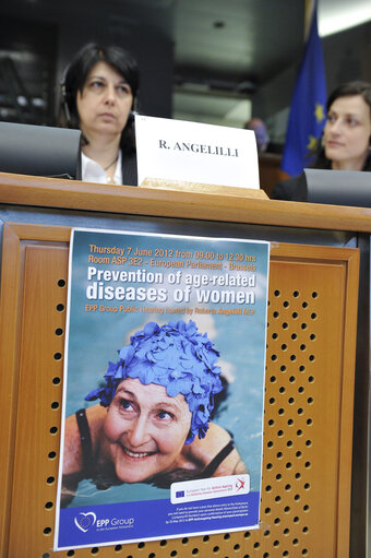 Fotografie 5: Hearing EPP - Prevention of age related diseases of women