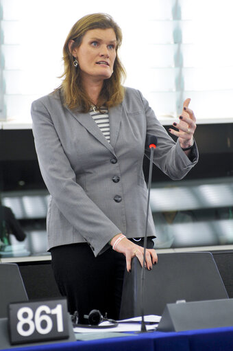 Fotografie 43: Plenary Session in Strasbourg - Week 21 - 2012