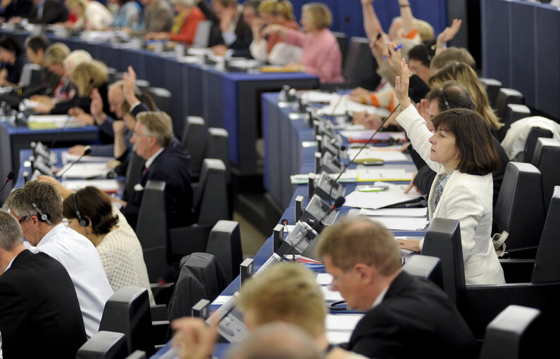 Fotografie 5: MEP Maria do Ceu PATRAO NEVES voting in plenary session