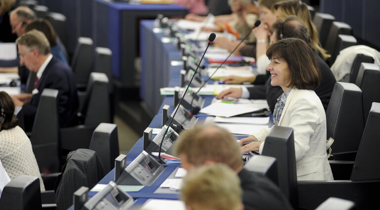 Fotografie 6: MEP Maria do Ceu PATRAO NEVES voting in plenary session