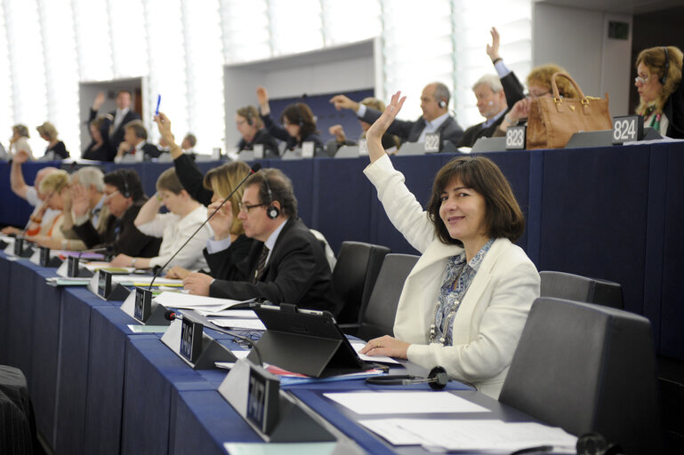 Fotografie 3: MEP Maria do Ceu PATRAO NEVES voting in plenary session