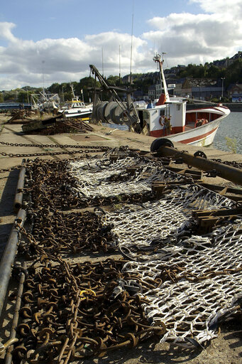 Fishermen returning to the harbour with their catch.