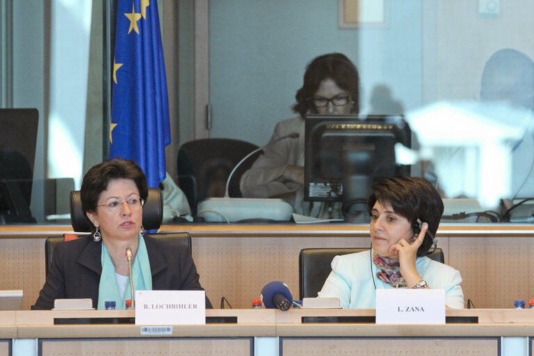 Fotografie 12: Joint hearing on the Implications of Climate Change on Human Rights, with presentation of a DROI study Human Rights and Climate Change: EU policy options. Exchange of views with Sakharov Winner 1994