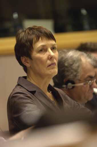 Suriet 1: MEP Satu HASSI attends a meeting in Brussels