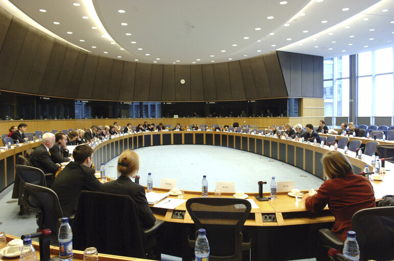 Fotografie 3: Interparliamentary meeting on the Future of Europe - EP meeting with National Parliaments