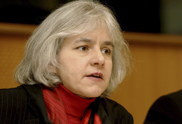 Billede 3: Elisabeth SCHROEDTER in a meeting at the EP in Brussels.