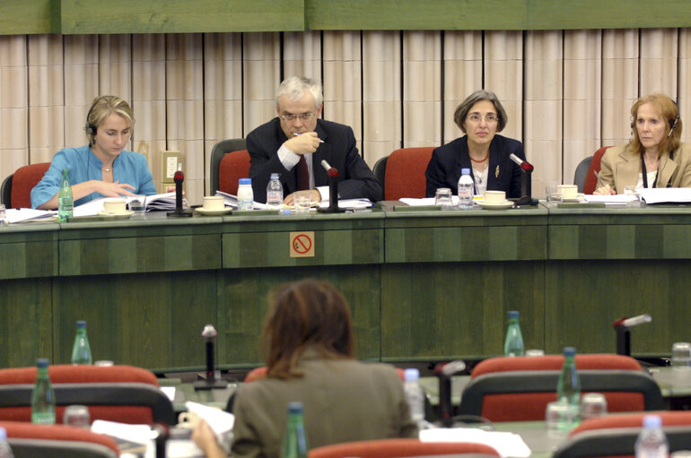 Photo 6 : Conference on lone parent families in the EU in Strasbourg