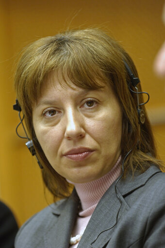 Fotografija 1: Filiz Hakaeva HYUSMENOVA in a meeting at the EP in Brussels.