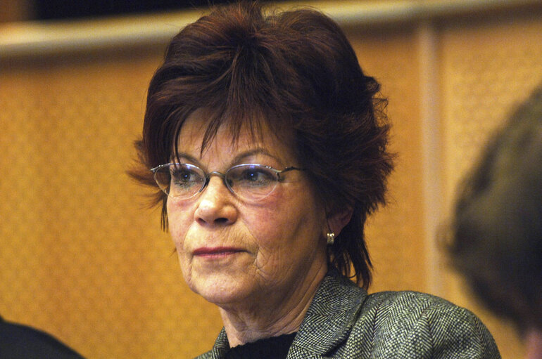 Gisela KALLENBACH in a meeting at the EP in Brussels.