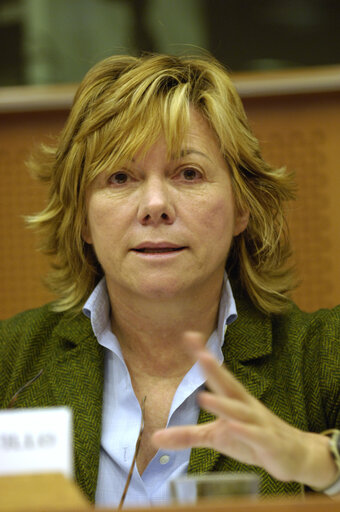 MEP Pilar del CASTILLO VERA attends a meeting in Brussels