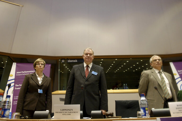 Fotografija 14: Interparliamentary meeting on the Future of Europe - EP meeting with National Parliaments