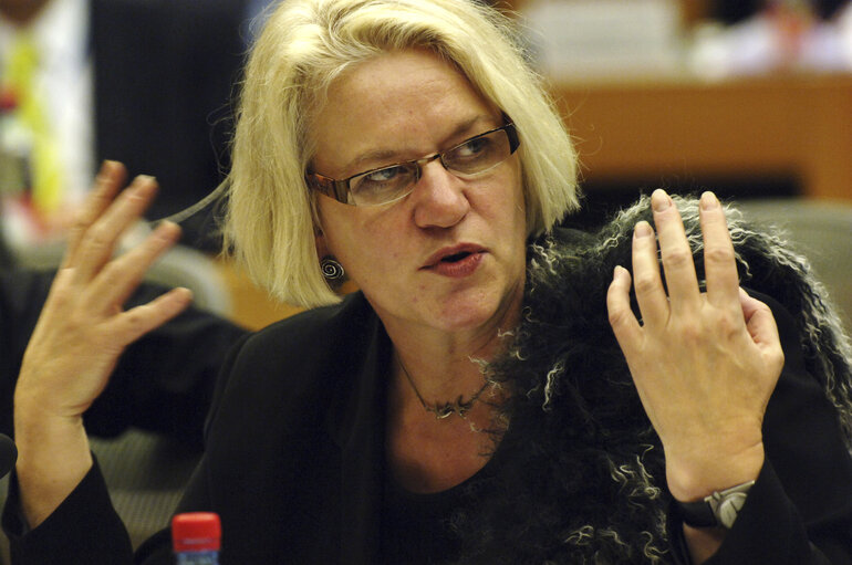 Foto 11: Ieke van den BURG in a meeting at the EP in Brussels.