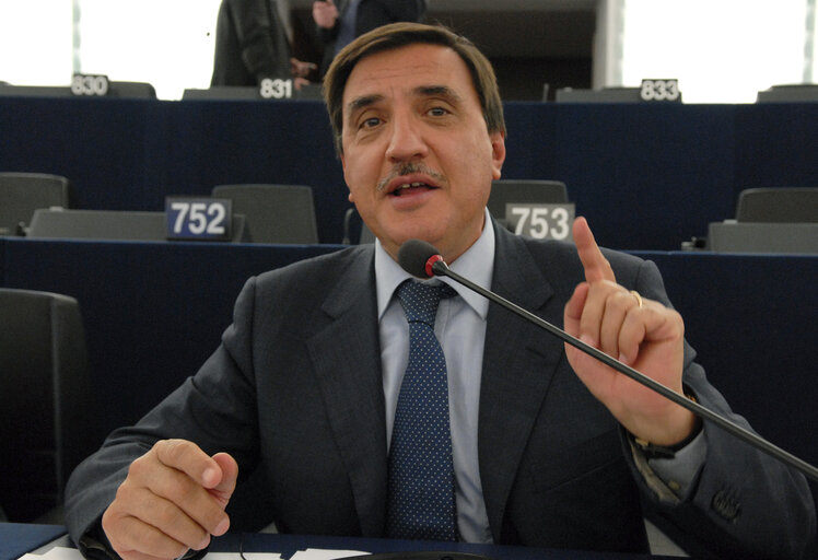 Foto 2: Romano Maria LA RUSSA in plenary session in Strasbourg.