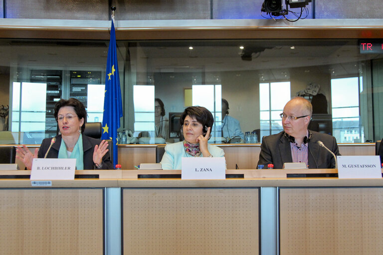 Fotografie 15: Joint hearing on the Implications of Climate Change on Human Rights, with presentation of a DROI study Human Rights and Climate Change: EU policy options. Exchange of views with Sakharov Winner 1994