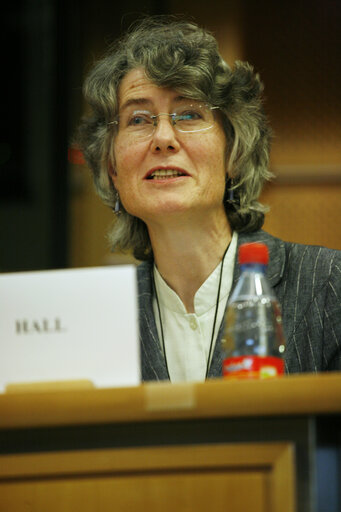 Foto 1: MEP Fiona HALL attends a meeting in Brussels