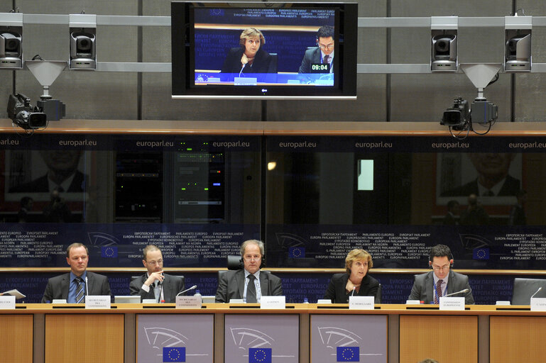 Foto 2: ENVI Committee meeting with the European Commissioner for the Environment.