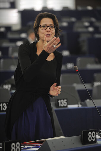 Fotografie 24: Plenary Session in Strasbourg week 46