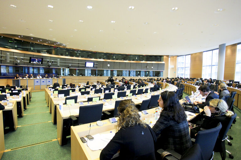 Fotografie 1: Mini-Hearing on The Recast of the Roaming Regulation