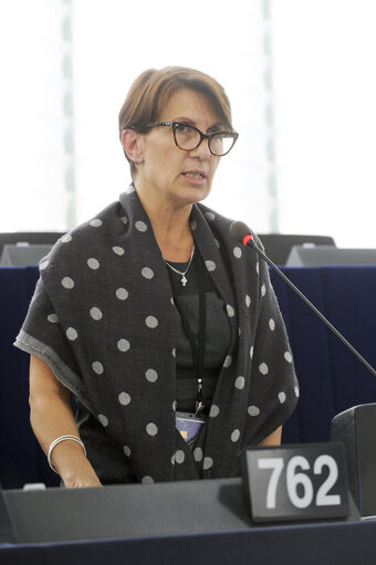 Fotografija 10: Plenary session in Strasbourg, week 46 - Situation of the Roma in Member States