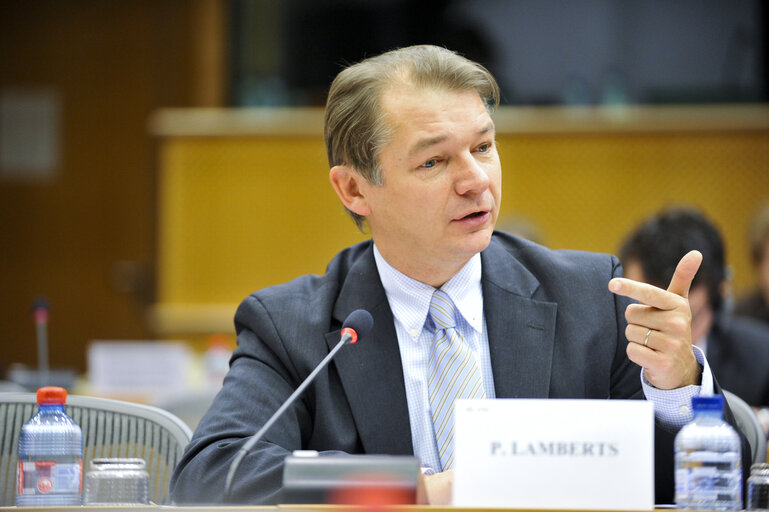 Foto 11: ECON Committee Meeting: Economic and Monetary Affairs. Annual Tax Report