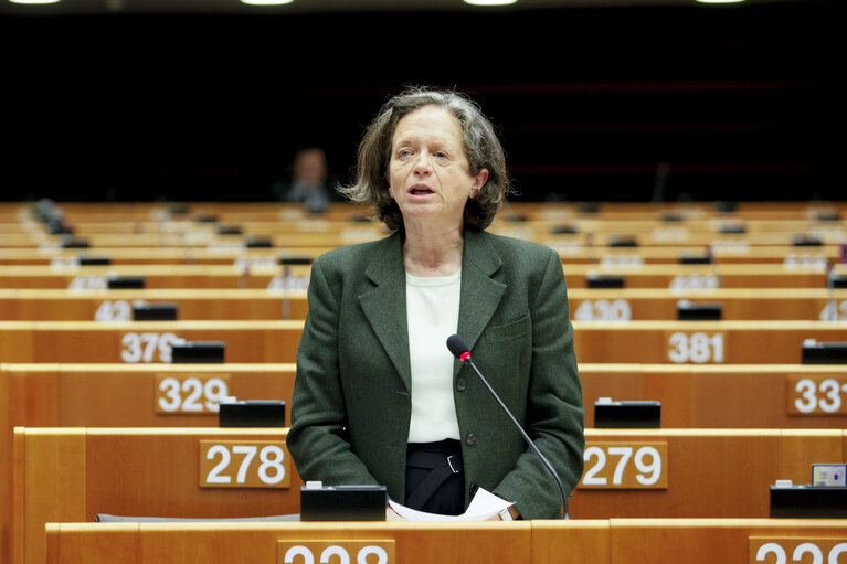 Fotografia 36: Plenary Session in Brussels - Week 48