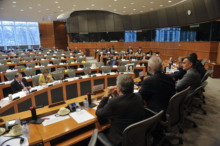 Снимка 4: SEDE subcommittee meeting The EU Strategy for the Sahel