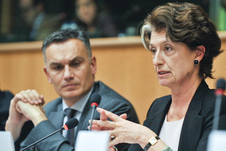 SEDE - Development of military capabilities