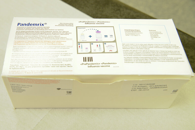 Fotagrafa 5: H1N1 flu: more info needed on health risks and vaccine safety