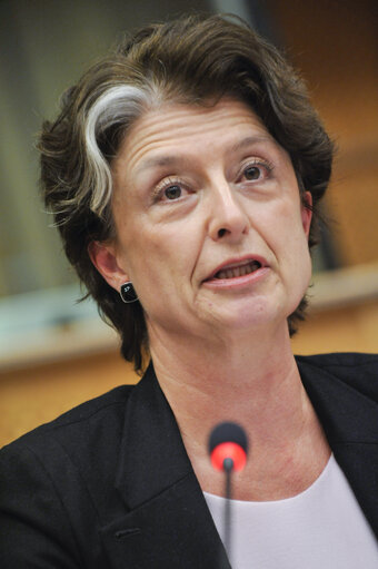 SEDE - Development of military capabilities