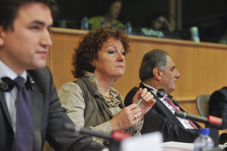 Fotografija 21: Eu-Turkey Joint parliamentary committee