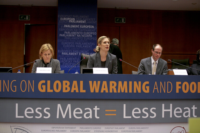 Suriet 2: Global Warming and Food Policy: Less Meat = Less Heat