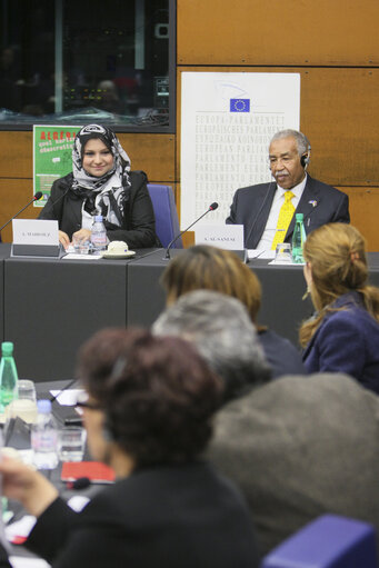 Valokuva 3: Sakharov Prize 2011. Arab Spring. Meeting with GREENS GROUP