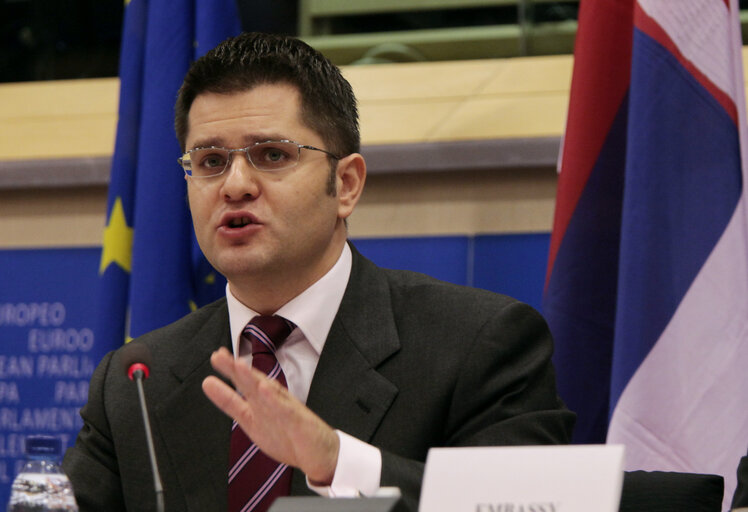 Fotografija 3: Committee on Foreign Affairs   Discussion with Vuk JEREMIC, Minister of Foreign Affairs of the Republic of Serbia