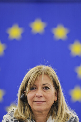 Foto 3: Plenary Session in Strasbourg - Week 50