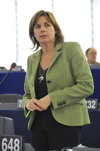 Zdjęcie 23: MEP in Plenary Session in Strasbourg - Week 46