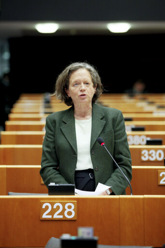 Plenary Session in Brussels - Week 48